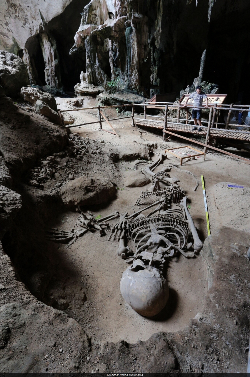 Esqueleto de cobra gigante encontrado no Google Maps agita web 