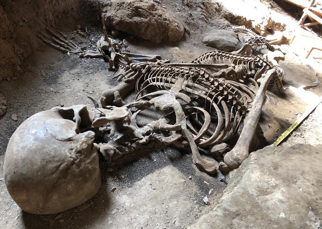 Suposto esqueleto de cobra pré-histórica gigante agita a web